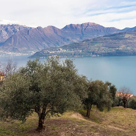 아파트 Residenza Coccinelle Vista D'iseo
